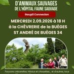 RELÂCHÉS - Événements - Médiatisations - Actions 2026 (et avant...) de Goupil connexion, 30 ans en 2026 ! La nature ne va pas bien, à cause des hommes, il est urgent de changer !