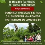 RELÂCHÉS - Événements - Médiatisations - Actions 2026 (et avant...) de Goupil connexion, 30 ans en 2026 ! La nature ne va pas bien, à cause des hommes, il est urgent de changer !