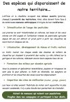 livret d'ac chouettes en garrigues p3 {JPEG}