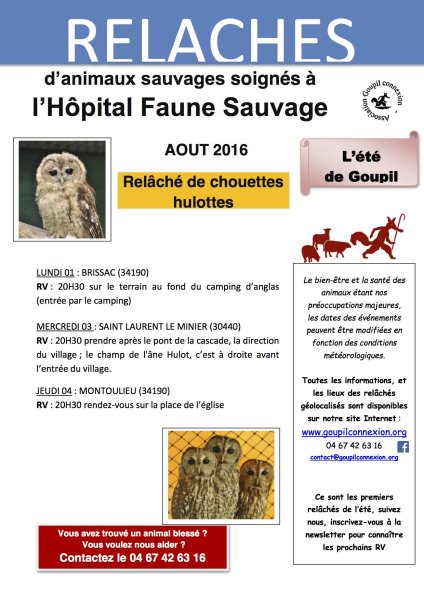 Affiche relâchés début août 2016 Affiche relâchés début août 2016